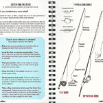 Catch and Release | Typical Riggings